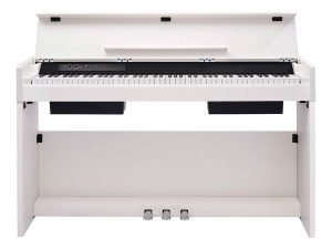 48452 pdhpjnfwsnecv220.jpg