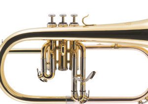 FG500.jpg
