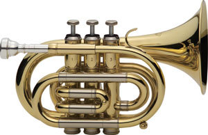 TR350.jpg