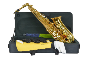 amadeus sax alto al850 insieme.png