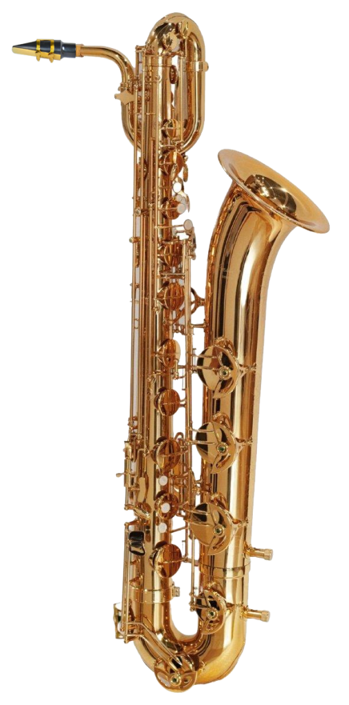 bs810.png