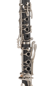 cl350 vista 2.png