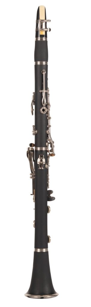 cl804n17 vista 3.jpg