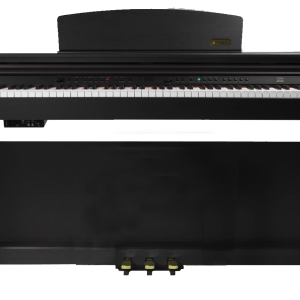 dp10e.png