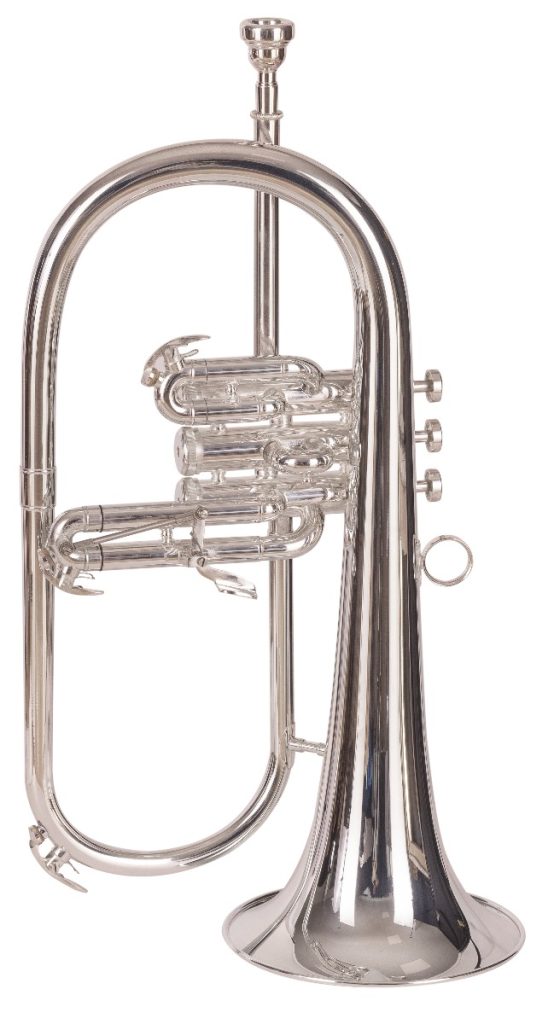 fg550s vista 1.jpg