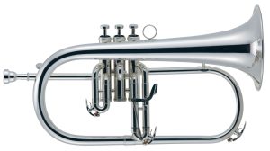 fg850s 1.jpg