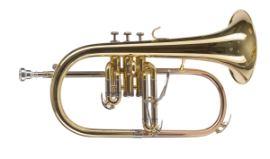 flh450 vista 2 1.png