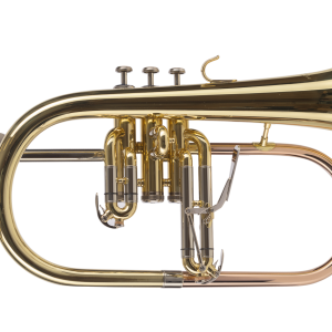 flh450 vista 2 1.png