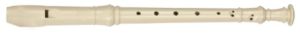 fs200.jpg