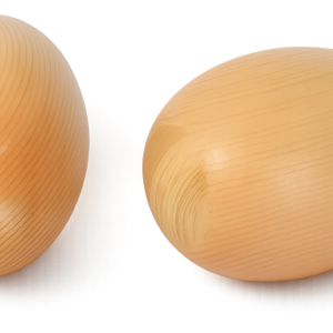 m016 1.png
