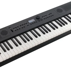 roland go keys 5 side