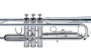 tr300.jpg