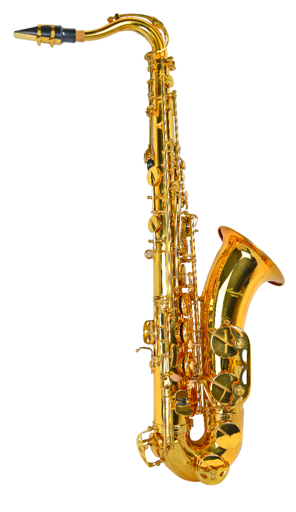 ts910 singolo 1.png