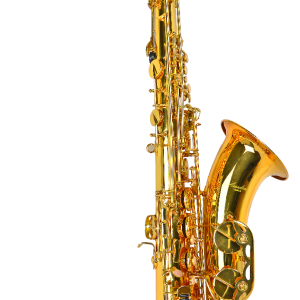 ts910 singolo.png